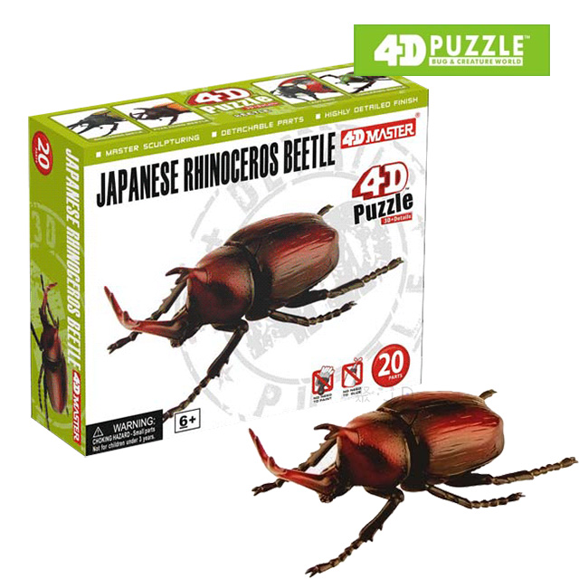 4d Master 昆蟲系列 日本獨角仙japanese Rhinoceros Beetle Pchome 24h購物