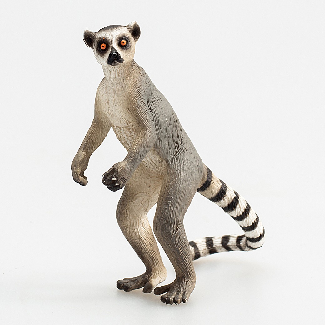 Mojo Fun動物模型 環尾狐猴 Pchome 24h購物