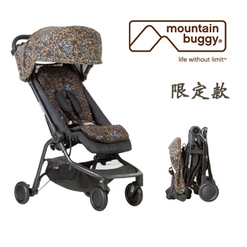 mountain buggy nano 2