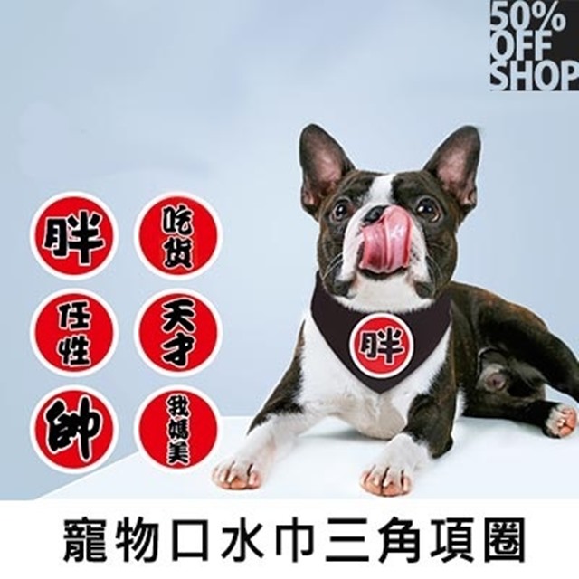 寵物口水巾三角項圈 毛小孩創意文字圍脖領巾 Pchome 24h購物