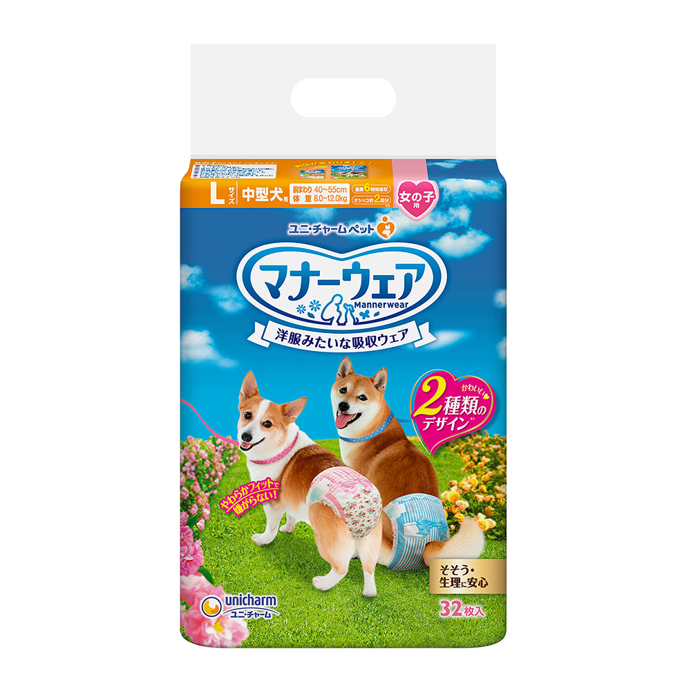 生理褲 禮貌帶 Pchome 24h購物