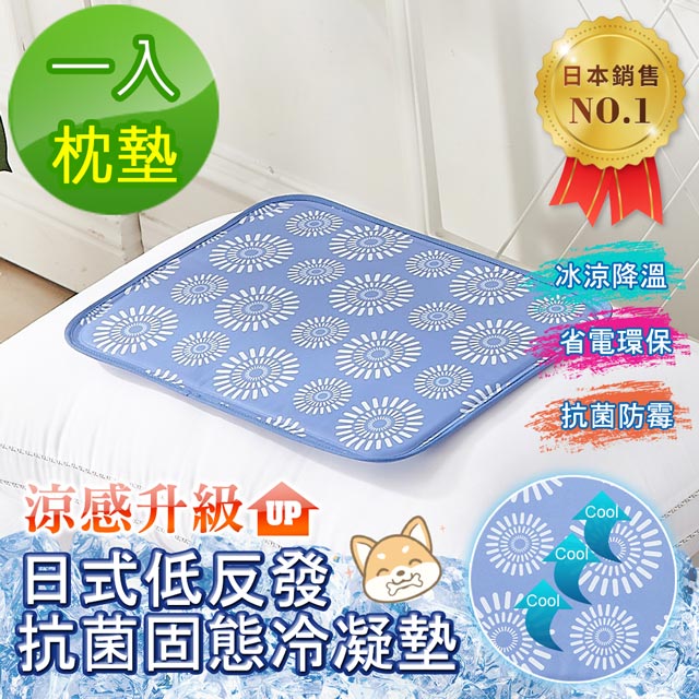 Betrise 水藍款 日本夯熱銷固態低反發抗菌凝膠持久冰涼墊 獨家開版 枕墊一入組 Pchome 24h購物