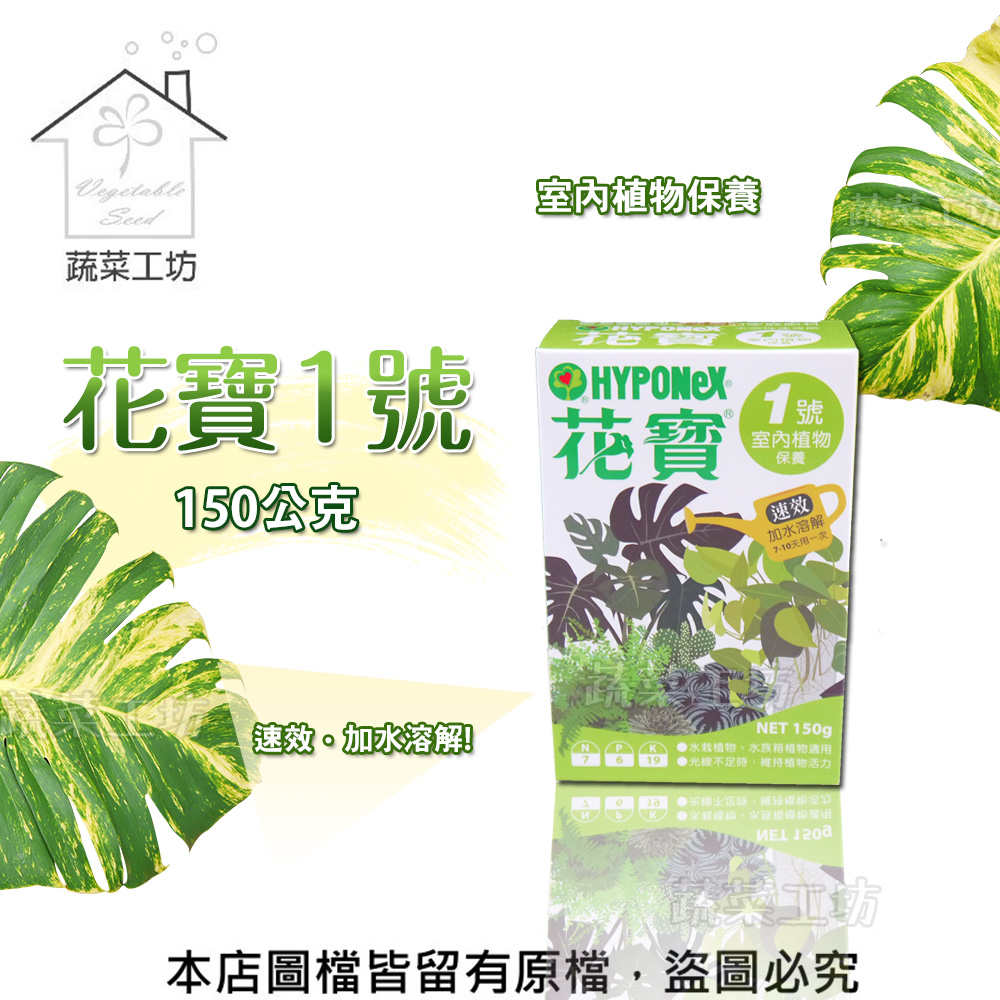 蔬菜工坊 花寶1號150公克 Pchome 24h購物