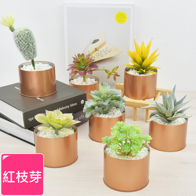 Meric Garden 北歐ins風仿真多肉綠植物鐵罐小盆栽diy套裝組 紅枝芽 Pchome 24h購物