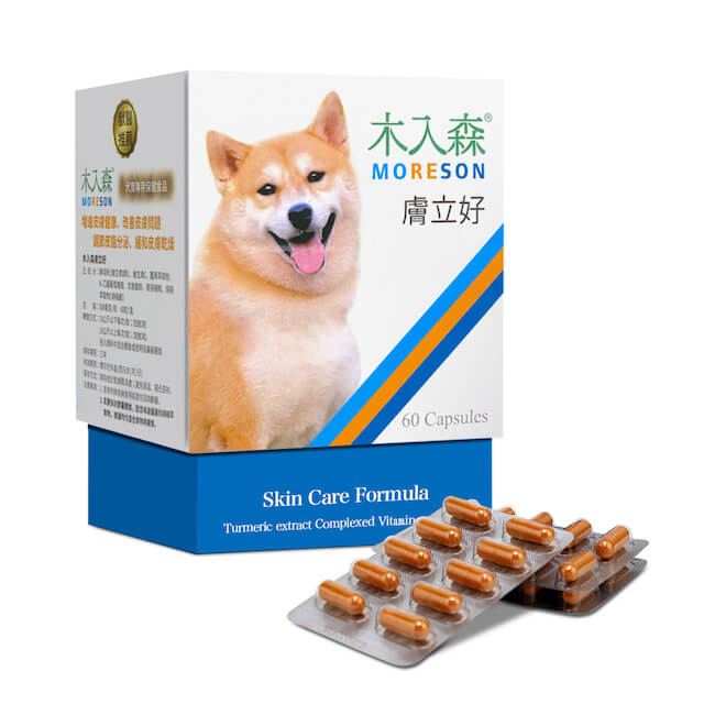 木入森 犬寶膚立好60顆 盒 Pchome 24h購物