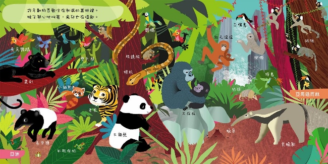 遊樂世界動物趣 Pchome 24h書店