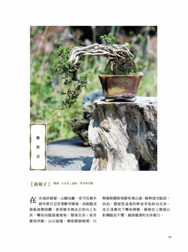 迷你盆栽習作 掌上天地寬 縮擬於豆缽中的四季風景 17年暢銷改版 Pchome 24h書店