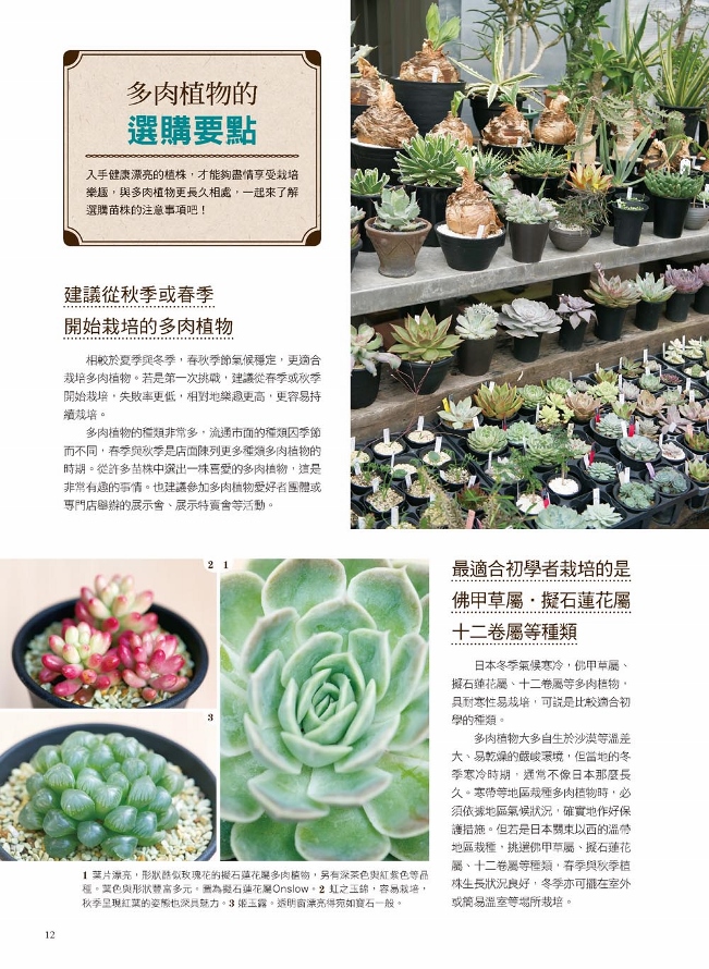 500個多肉品種圖鑑 栽種訣竅 Pchome 24h書店