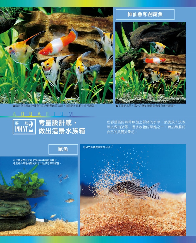 熱帶魚與水草的飼育法 暢銷版 Pchome 24h書店