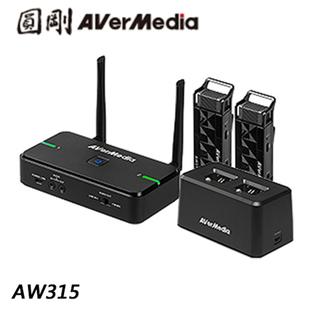 圓剛avermic Aw315 教學專用無線麥克風 雙麥克風 充電底座組 Pchome 24h購物