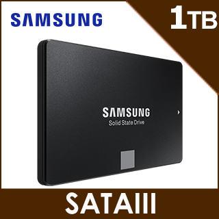 SAMSUNG 三星 870 EVO 1TB 2.5吋 SATAIII 固態硬碟 (MZ-77E1T0BW)