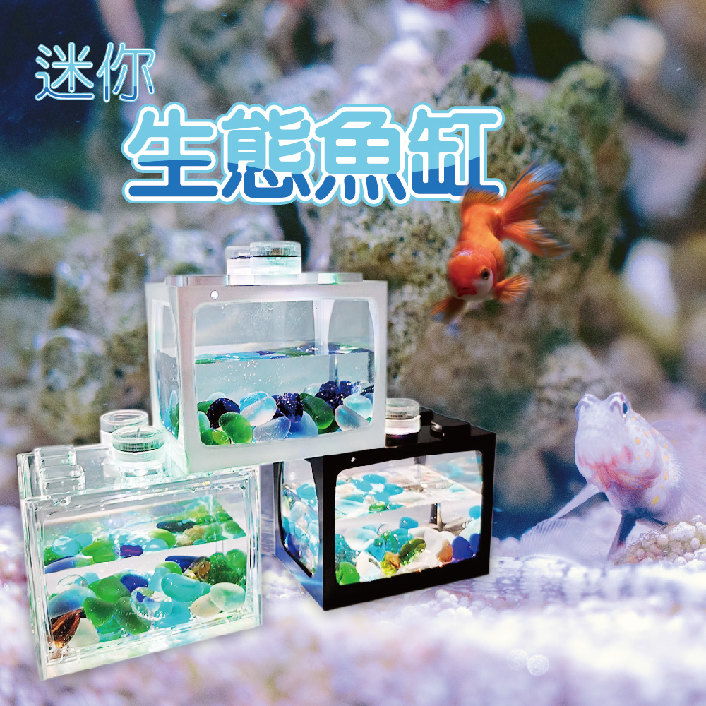 魚缸 繁殖箱 Pchome 24h購物